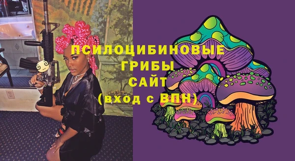 марки lsd Заводоуковск