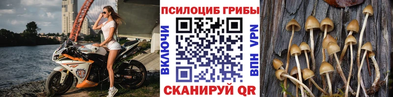 Галлюциногенные грибы Psilocybe  Купить где  Озёры 
